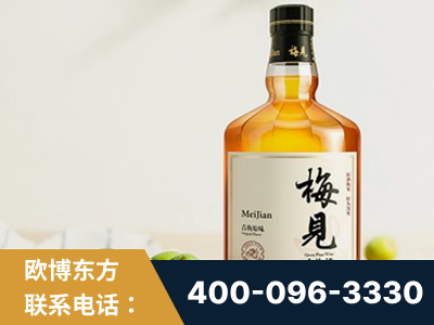 宁德-梅见青梅酒